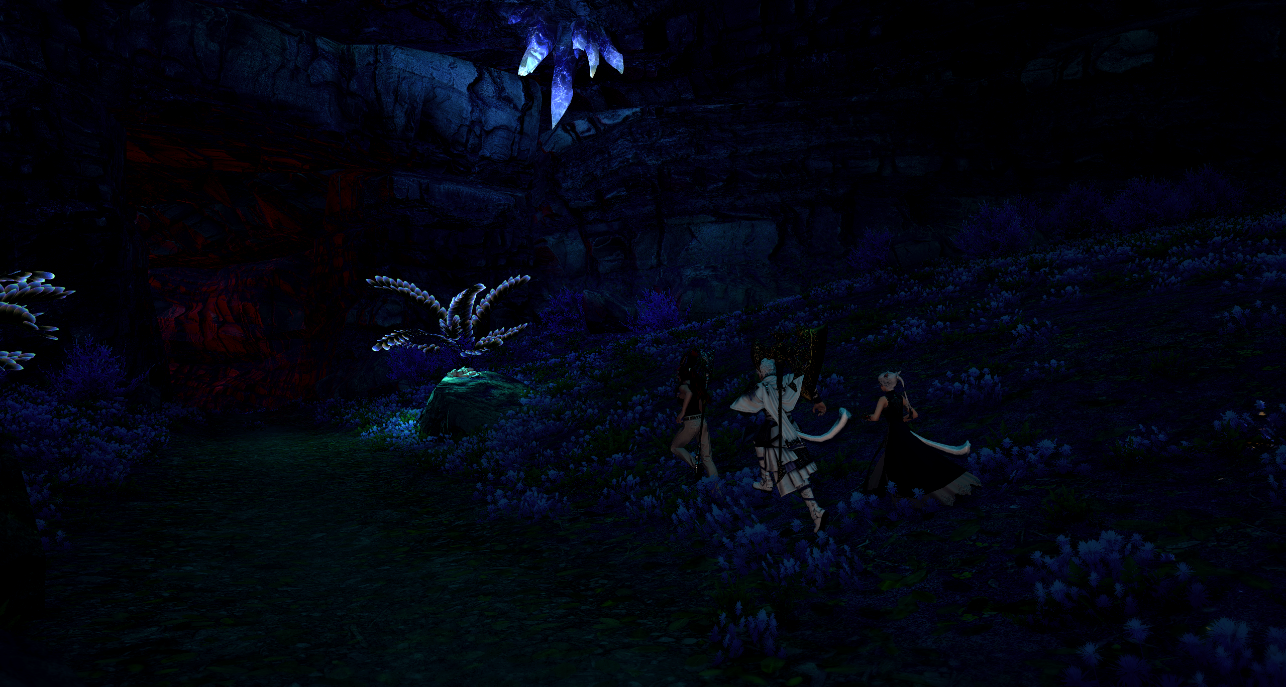 Group finds cave bright